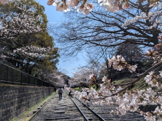 ○○の間イメージ