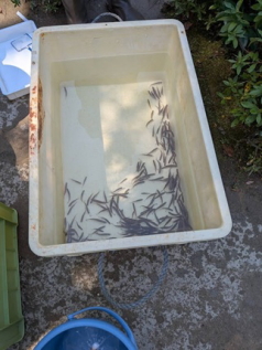 ○○の間イメージ