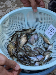 ○○の間イメージ